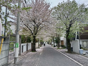 深沢高校第６４回入学式